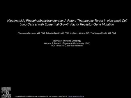 Nicotinamide Phosphoribosyltransferase: A Potent Therapeutic Target in Non-small Cell Lung Cancer with Epidermal Growth Factor Receptor-Gene Mutation 