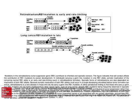 Mutations in the retinoblastoma tumor-suppressor gene (RB1) contribute to inherited and sporadic cancers. The figure indicates that cell context affects.