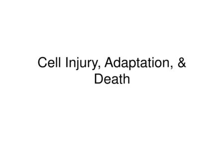 Cell Injury, Adaptation, & Death