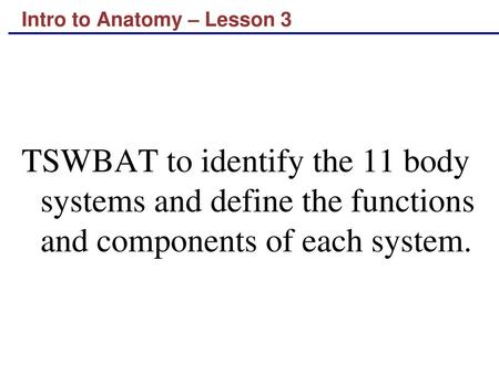 Intro to Anatomy – Lesson 3