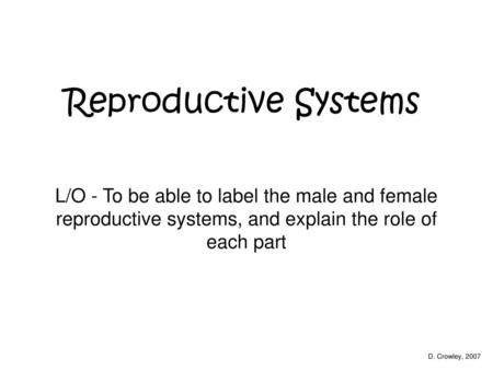 Reproductive Systems L/O - To be able to label the male and female reproductive systems, and explain the role of each part D. Crowley, 2007.