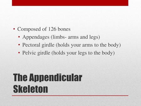 The Appendicular Skeleton