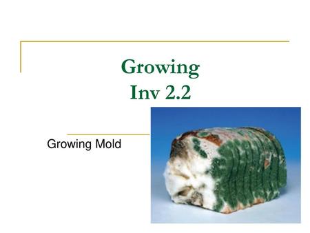 Growing Inv 2.2 Growing Mold.