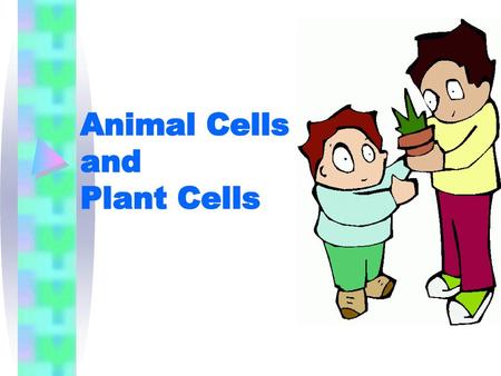 Animal Cells and Plant Cells