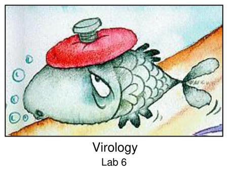 Virology Lab 6.