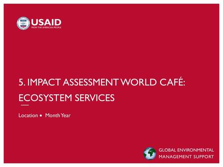 5. Impact assessment world café: Ecosystem services