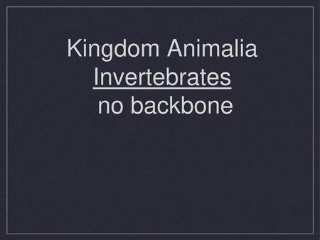 Kingdom Animalia Invertebrates no backbone