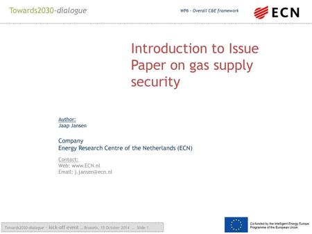 Introduction to Issue Paper on gas supply security