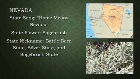 Nevada State Song: “Home Means Nevada” State Flower: Sagebrush