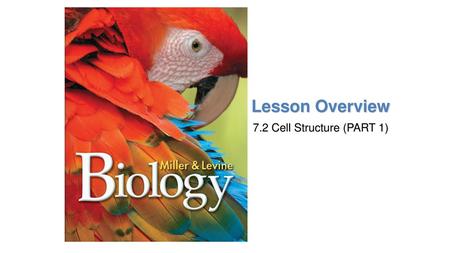 Lesson Overview 7.2 Cell Structure (PART 1).