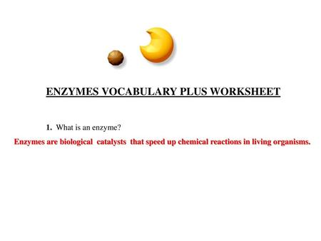 ENZYMES VOCABULARY PLUS WORKSHEET