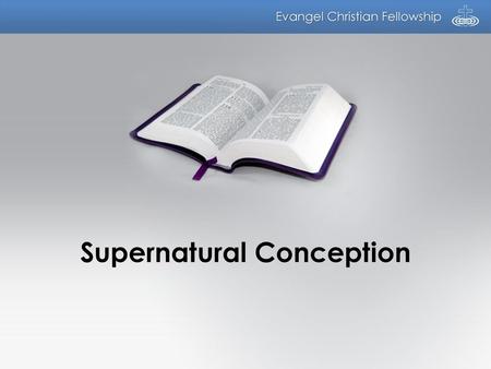 Supernatural Conception