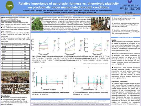 Relative importance of genotypic richness vs. phenotypic plasticity