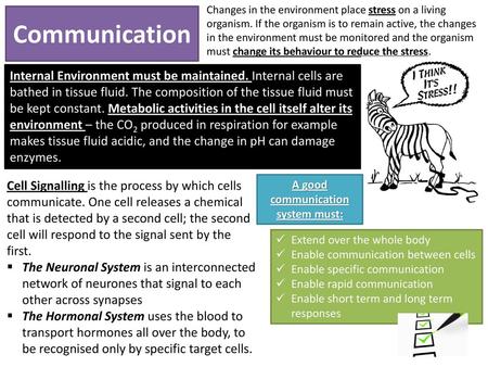 A good communication system must: