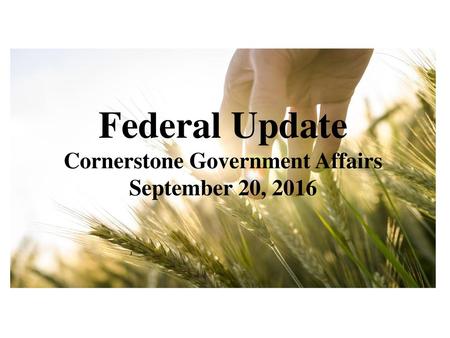 Cornerstone Government Affairs