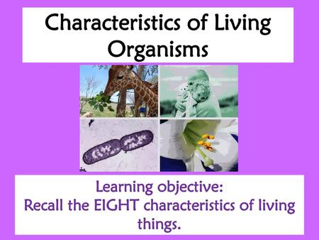 Characteristics of Living Organisms