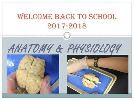 Welcome Back to School 2017-2018 Anatomy & Physiology.