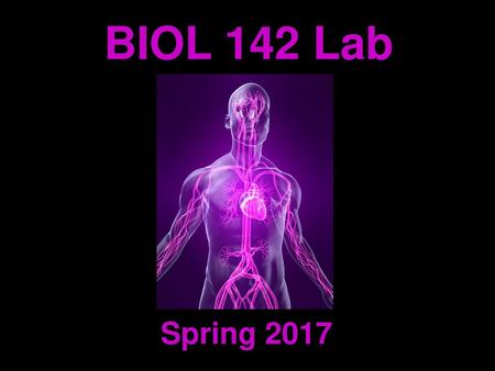 BIOL 142 Lab Spring 2017.