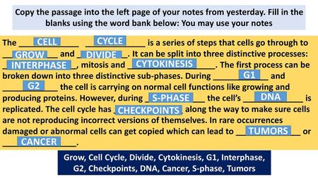 CYCLE CELL GROW DIVIDE CYTOKINESIS INTERPHASE G1 G2 S-PHASE DNA