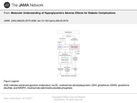 Copyright © 2002 American Medical Association. All rights reserved.