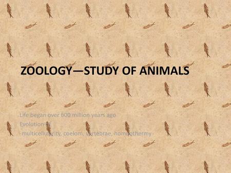 ZOOLOGY—STUDY OF ANIMALS