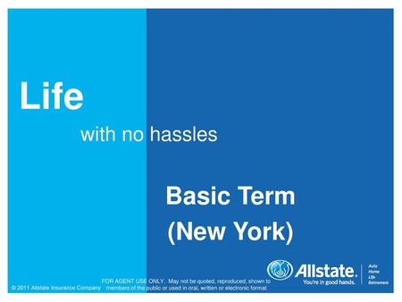 Life with no hassles Basic Term (New York).