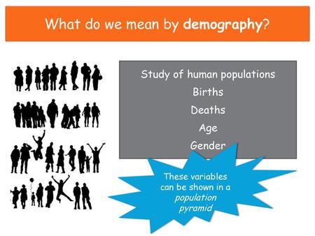 What do we mean by demography?