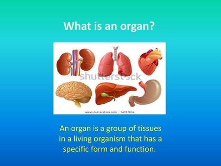 What is an organ?  An organ is a group of tissues in a living organism that has a specific form and function. 