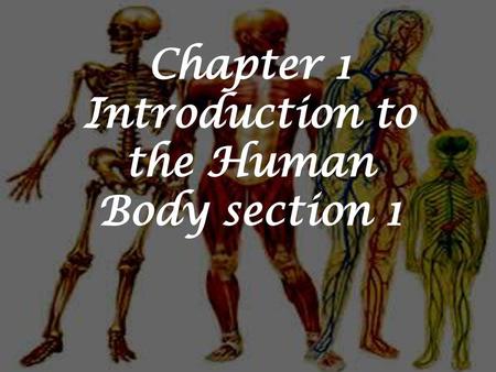 Chapter 1 Introduction to the Human Body section 1