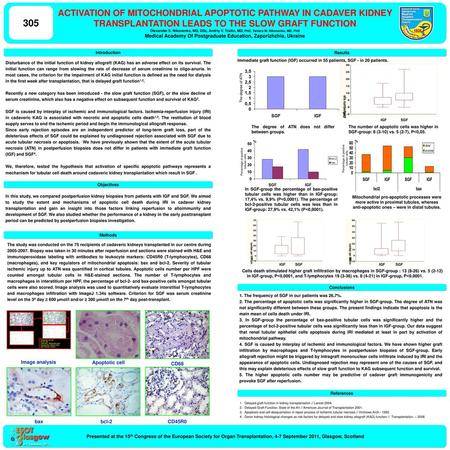 ACTIVATION OF MITOCHONDRIAL APOPTOTIC PATHWAY IN CADAVER KIDNEY