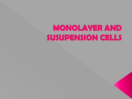 MONOLAYER AND SUSUPENSION CELLS