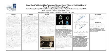 Using 4D Nongated Echocardiography