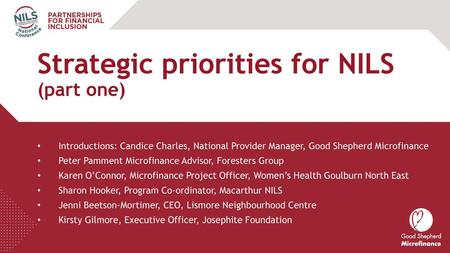 Strategic priorities for NILS (part one)