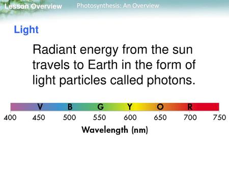 Light Radiant energy from the sun travels to Earth in the form of light particles called photons.