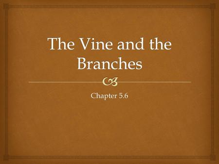 The Vine and the Branches