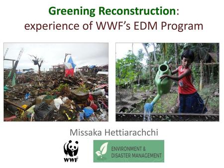 Greening Reconstruction: experience of WWF’s EDM Program