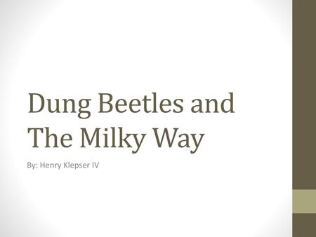 Dung Beetles and The Milky Way