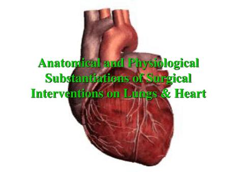 Lungs Anterior-Medial View