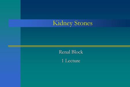 Kidney Stones Renal Block 1 Lecture.