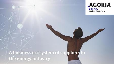 A business ecosystem of suppliers to the energy industry