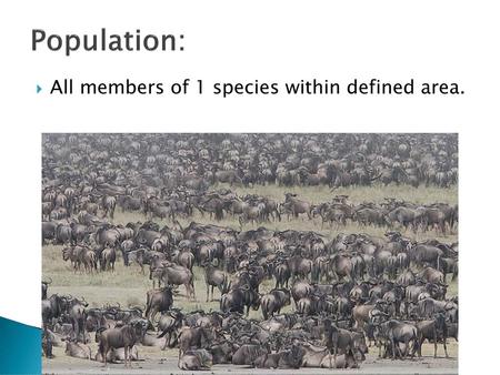 Population: All members of 1 species within defined area.