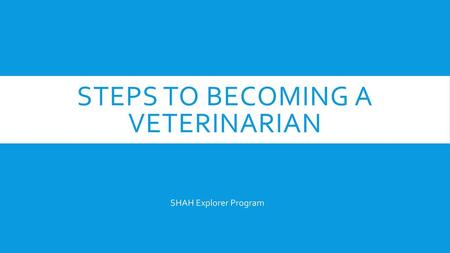 Steps to becoming a veterinarian