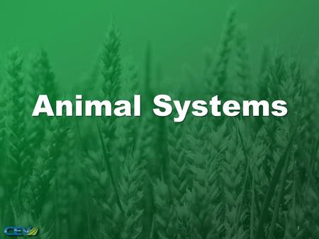 Animal Systems.