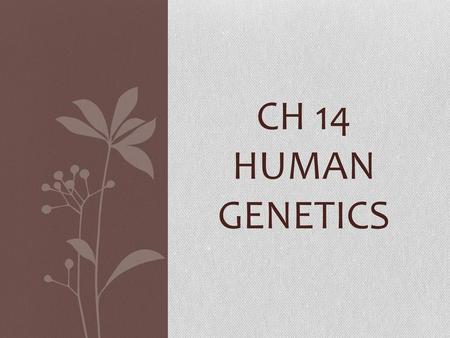 Ch 14 Human Genetics.