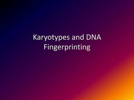 Karyotypes and DNA Fingerprinting