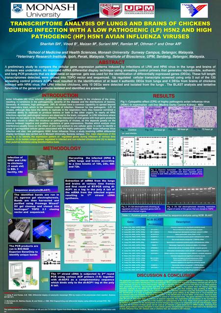 TRANSCRIPTOME ANALYSIS OF LUNGS AND BRAINS OF CHICKENS DURING INFECTION WITH A LOW PATHOGENIC (LP) H5N2 AND HIGH PATHOGENIC (HP) H5N1 AVIAN INFLUENZA VIRUSES.