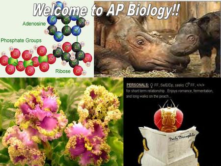 Welcome to AP Biology!!.