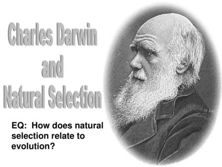 EQ: How does natural selection relate to evolution?