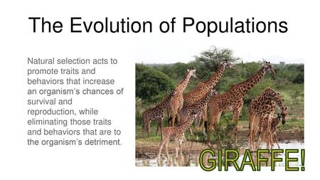 The Evolution of Populations