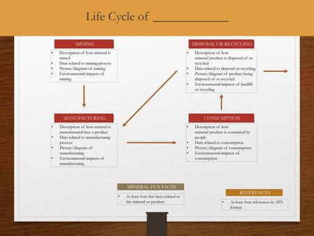 Life Cycle of ____________